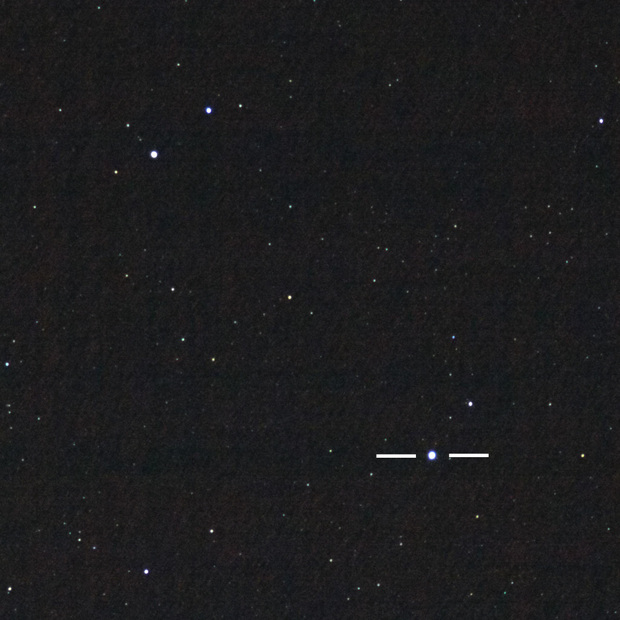 36EDフラットナー いるか座新星 ピクセル等倍 トリミング).jpg